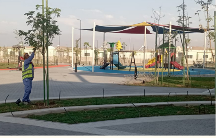 تنسيق الموقع